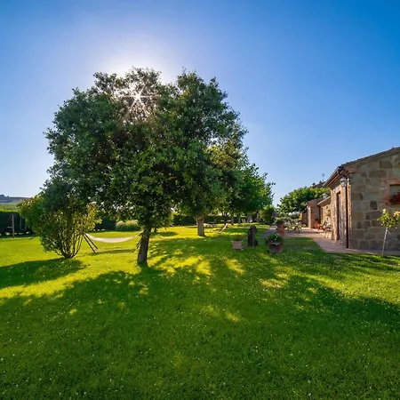Palazzi Del Papa