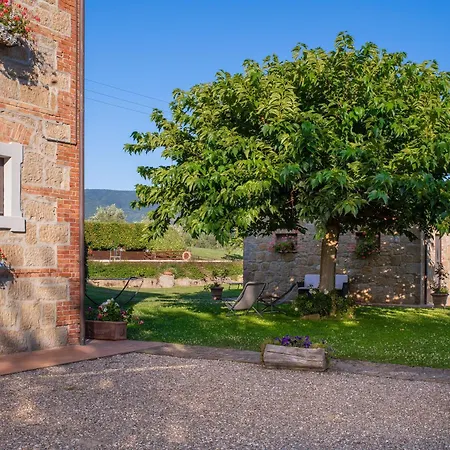 Palazzi Del Papa Pienza