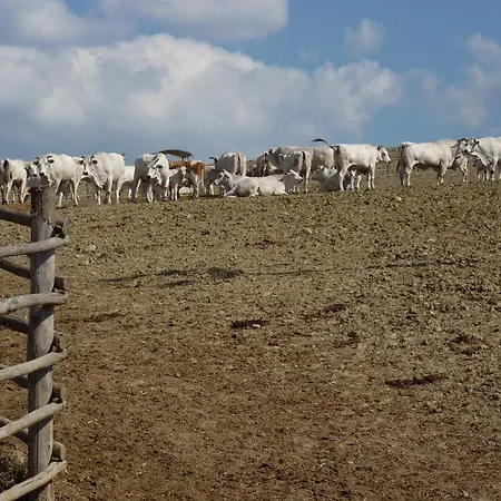 مزرعة للإقامة Palazzi Del Papa بيينْسا